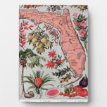 Vintage Florida Map Plaque at Zazzle