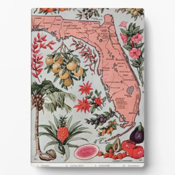 Vintage Florida Map Plaque by ellesgreetings at Zazzle