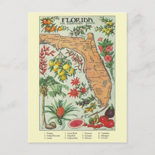 Vintage Florida Map Post Card