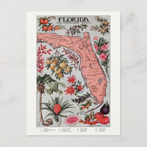 Vintage Florida Map Post Card