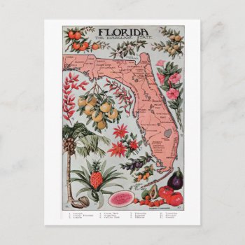 Vintage Florida Map Postcard by ellesgreetings at Zazzle