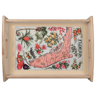 Vintage Florida Map Serving Tray