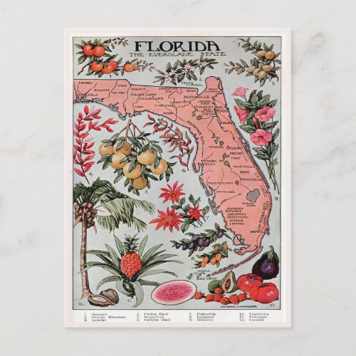 Vintage Florida Map the Everglade State Travel Postcard