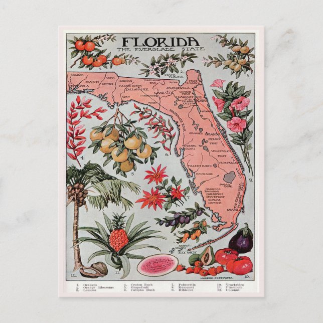 Vintage Florida Map, the Everglade State Travel Postcard (Front)