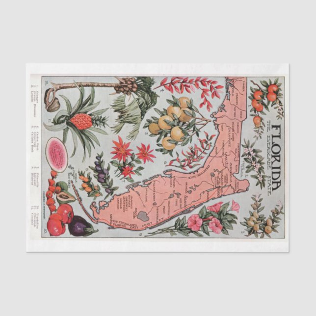 Vintage Florida Map  Tissue Paper (Front)