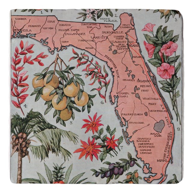 Vintage Florida Map Trivet (Front)