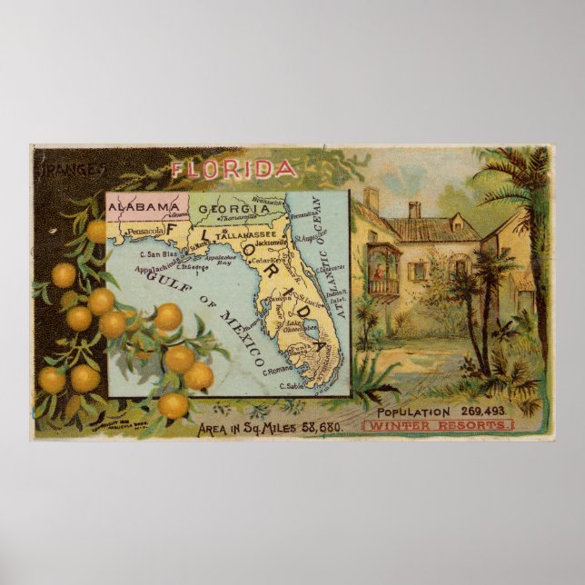 Vintage Florida Map with Illustrations (1890) Poster (Front)