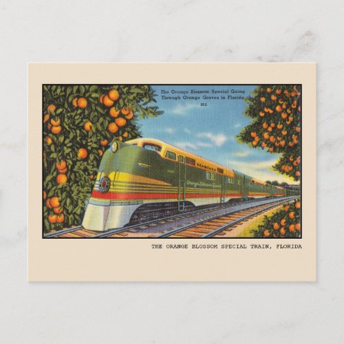 Vintage Florida Orange Blossom Special Train Postcard
