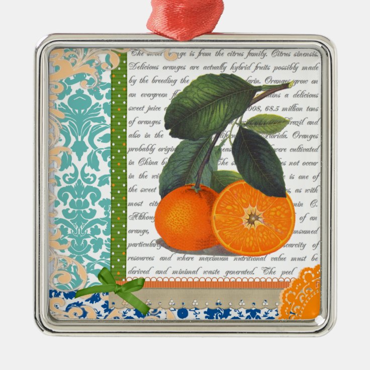 Vintage Florida Orange Fruit ornament Zazzle