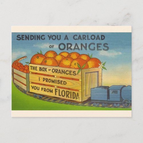 Vintage Florida Oranges Postcard
