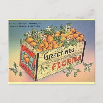 Vintage Florida Oranges Postcard by RetroMagicShop at Zazzle