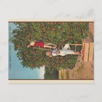 Vintage Florida Oranges Postcard by RetroMagicShop at Zazzle