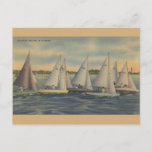 Vintage Florida Sailboat Racing Postcard at Zazzle
