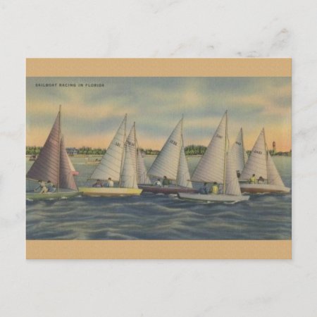 Vintage Florida Sailboat Racing Postcard