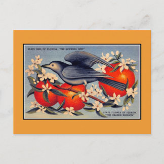 Vintage Florida State flower, state bird Postcard