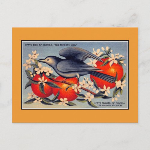 Vintage Florida State flower state bird Postcard