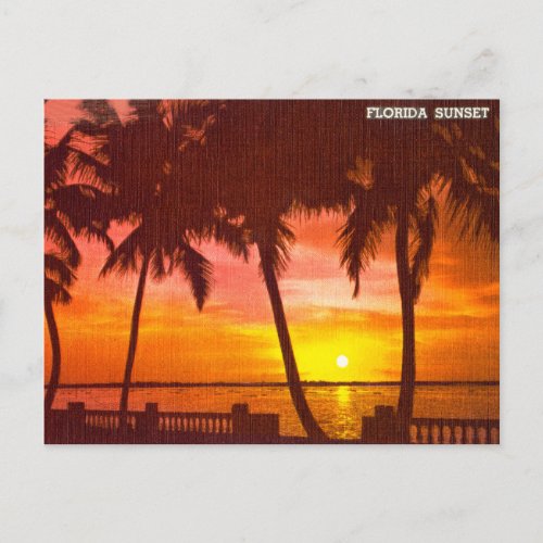 Vintage Florida Sunset Travel Postcard