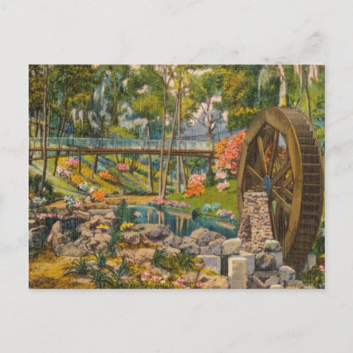 Vintage Florida Tropical Lake Hidden Cove Postcard