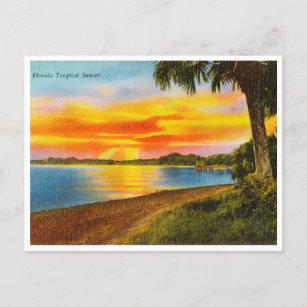 Vintage Florida Tropical Sunset Travel Postcard