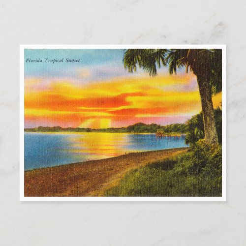 Vintage Florida Tropical Sunset Travel Postcard