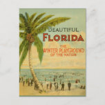 Vintage Florida Winter Playground Postcard at Zazzle
