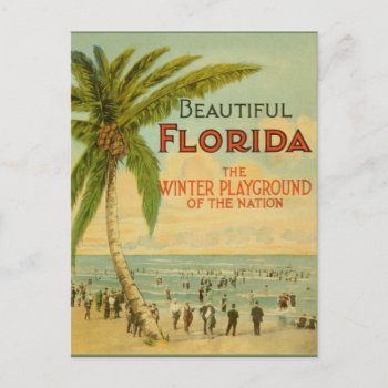 Vintage Florida Winter Playground Postcard by RetroMagicShop at Zazzle