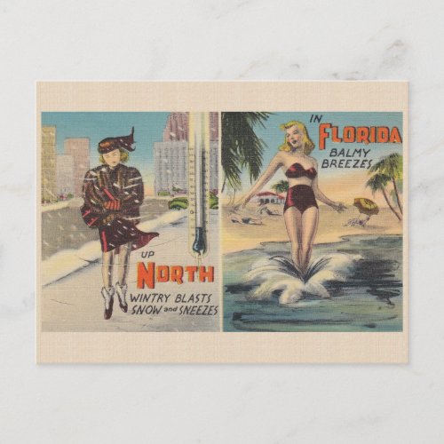 Vintage Florida Winter Postcard