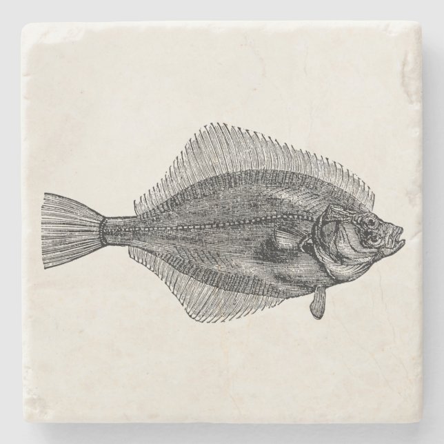Vintage Flounder Fish Aquatic Customized Template Stone Coaster (Front)