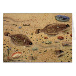 Vintage Flounders, Marine Ocean Life Flat Fish