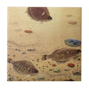 Vintage Flounders, Marine Ocean Life Flat Fish Ceramic Tile