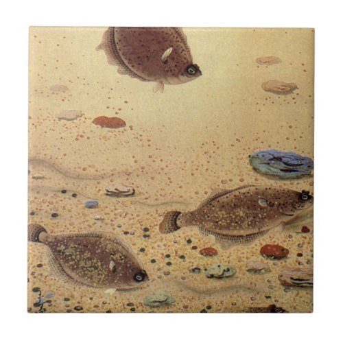 Vintage Flounders Marine Ocean Life Flat Fish Ceramic Tile