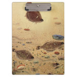Vintage Flounders, Marine Ocean Life Flat Fish Clipboard