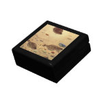 Vintage Flounders, Marine Ocean Life Flat Fish Keepsake Box