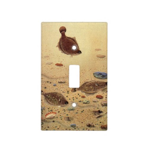 Vintage Flounders Marine Ocean Life Flat Fish Light Switch Cover