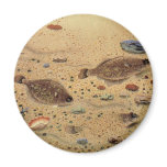 Vintage Flounders, Marine Ocean Life Flat Fish Magnet