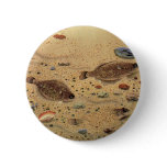 Vintage Flounders, Marine Ocean Life Flat Fish Pinback Button