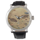 Vintage Flounders, Marine Ocean Life Flat Fish Watch