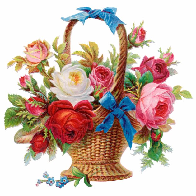 Flower Basket Clip Art, PNG, 764x965px, Flower, Basket, Cut Flowers, Drawing,  Flora Download Free