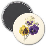 Vintage Flower Pansy Badge Magnet at Zazzle