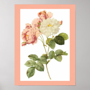 Vintage Flower poster 2