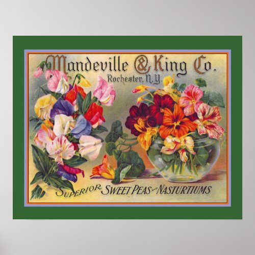 Vintage Flower Seed Advertisement Poster
