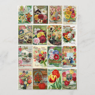 Vintage Flower Seed Catalogs Collage Invitation