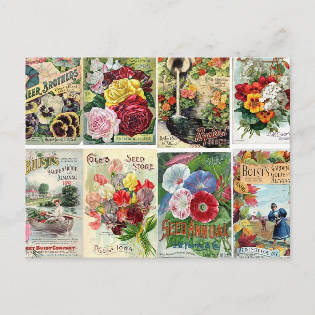 Vintage Flower Seed Catalogs Collage Postcard (Front)