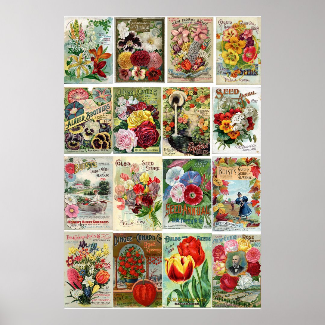 Vintage Flower Seed Catalogs Collage Poster Zazzle