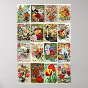 Vintage Flower Seed Catalogs Collage Poster