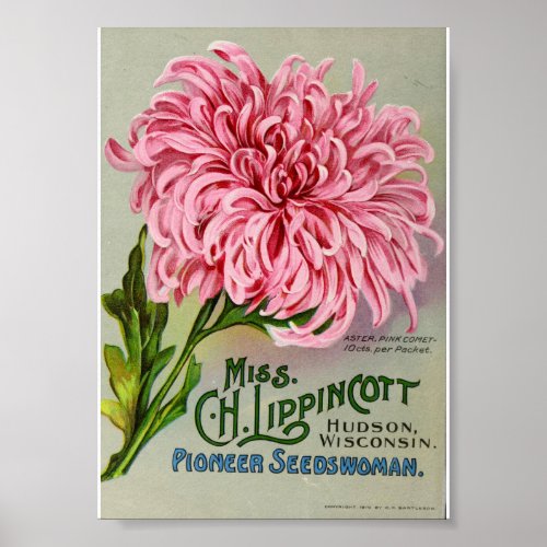 Vintage Flower Seed Packet Circa 1911 Poster