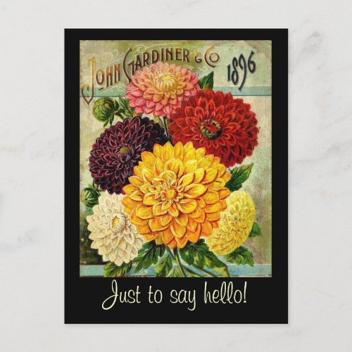 Vintage Flower Seed Packet _Postcard Postcard