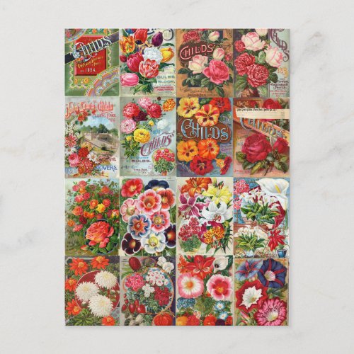 Vintage Flower Seed Packets Garden Collage Postcard