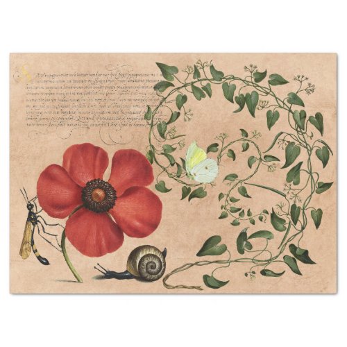 Vintage Flower Vine Calligraphy Tissue Paper