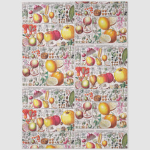 Vintage Flowering Fruits Botanical Book Plate #33 Tissue Paper